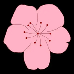 快播app 快播app